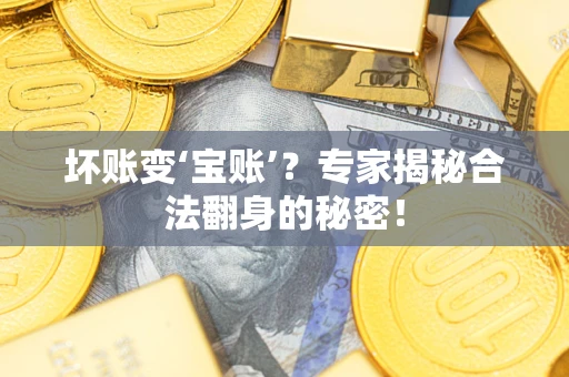 北京坏账变‘宝账’？专家揭秘合法翻身的秘密！