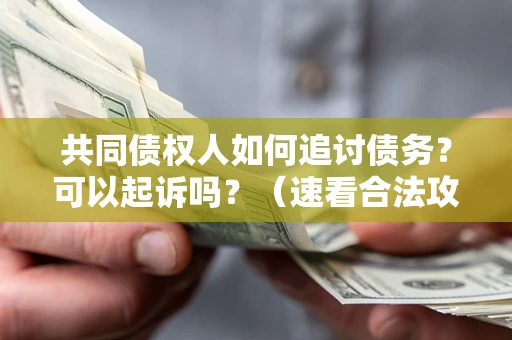北京共同债权人如何追讨债务？可以起诉吗？（速看合法攻略）