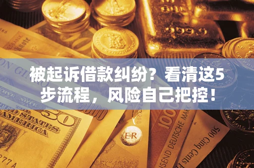 北京被起诉借款纠纷？看清这5步流程，风险自己把控！
